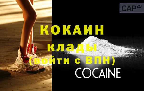 дмт Пересвет