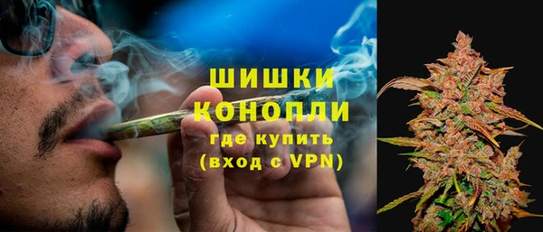соль ск Белокуриха
