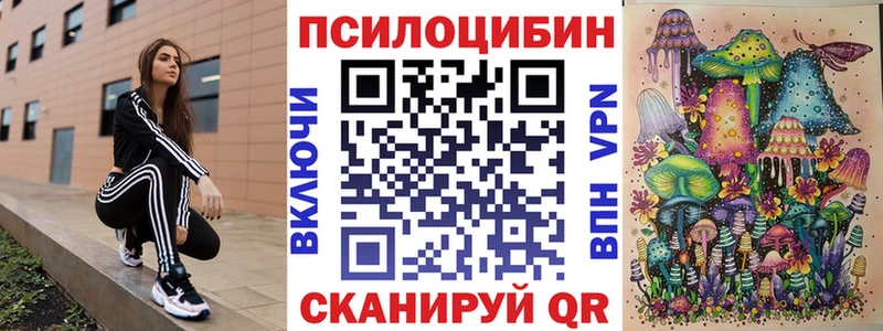 Псилоцибиновые грибы Cubensis  купить наркотик  Ельня 